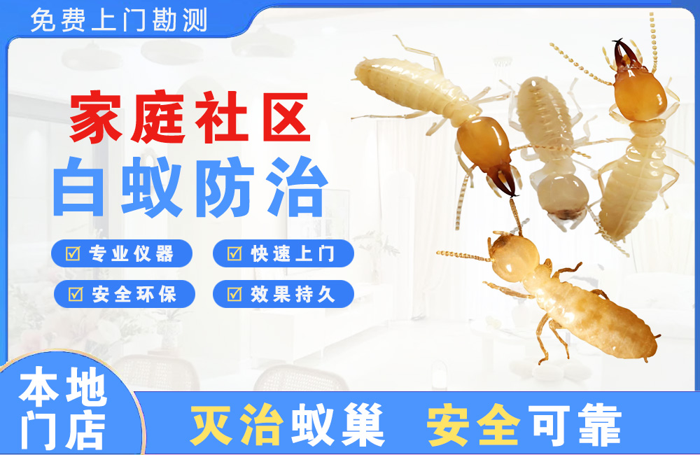 邳州家庭社区白蚁防治