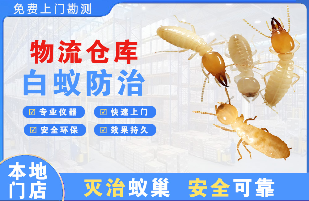 邳州物流仓库白蚁防治