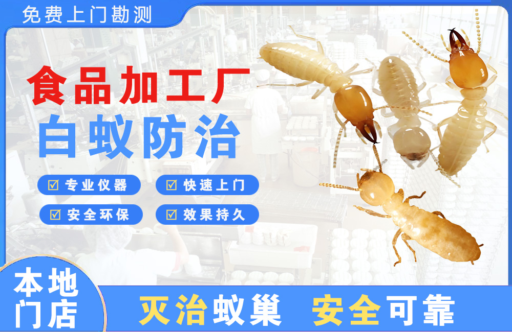 邳州食品加工厂白蚁防治