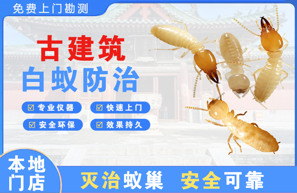 邳州古建筑白蚁防治