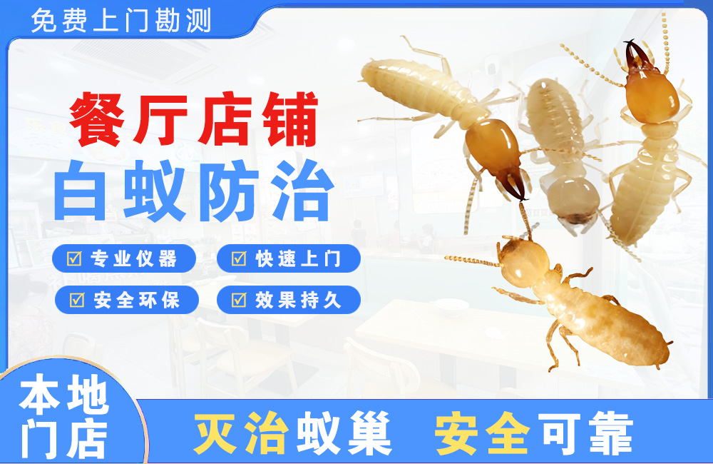 邳州餐厅店铺白蚁防治